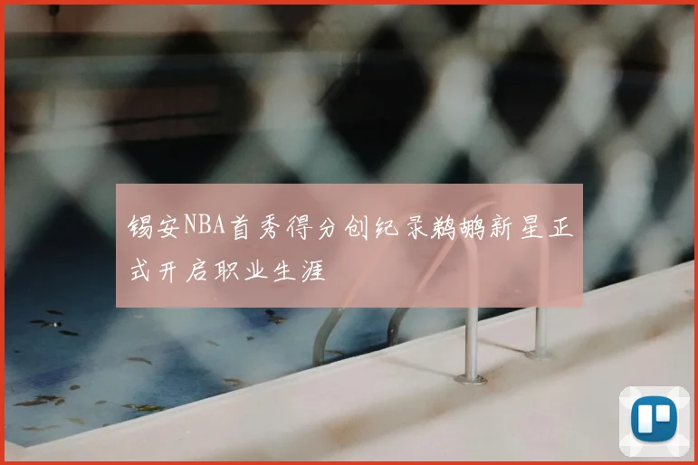 锡安NBA首秀得分创纪录鹈鹕新星正式开启职业生涯