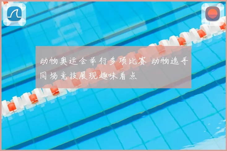 动物奥运会举行多项比赛 动物选手同场竞技展现趣味看点