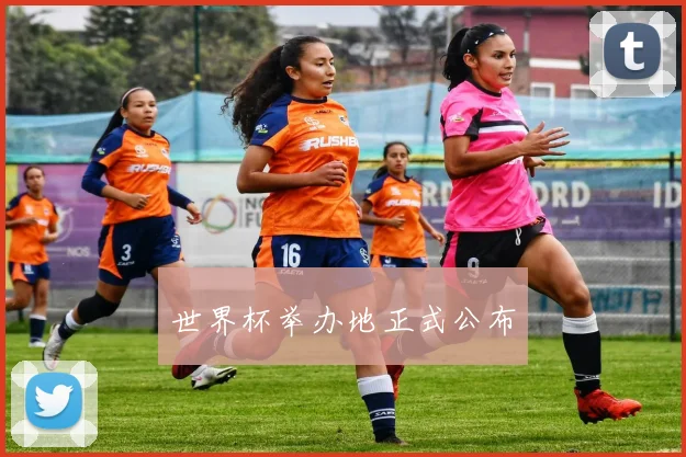 世界杯举办地正式公布